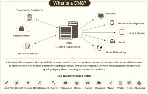 what-is-cms